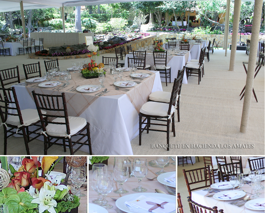 HACIENDA LOS AMATES