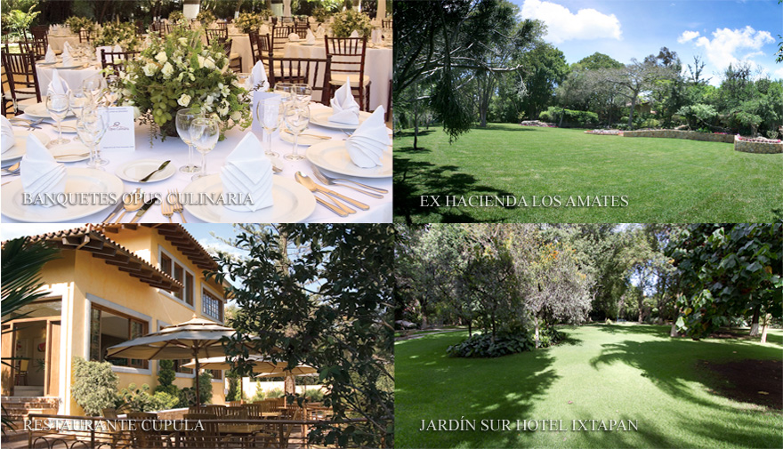 HACIENDA LOS AMATES